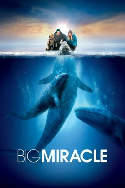 Giải Cứu Cá Heo - Big Miracle (2012)