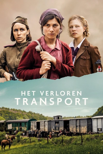 Lost Transport - Lost Transport (2022)